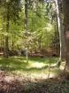 Waldgrundstück Wald Mischwald nähe Waldkirchen zum Kauf /Tausch